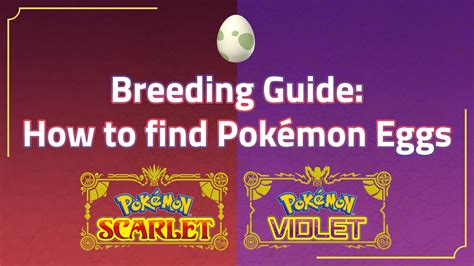 pokemon scarlet and violet breeding guide|how to get eggs in pokemon scarlet.